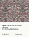 CT-ART-MOR-01-PLANNER image 1