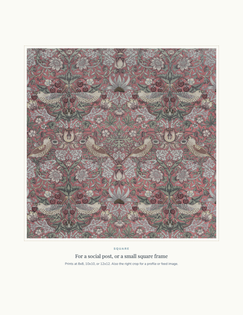 CT-ART-MOR-01-PLANNER image 4