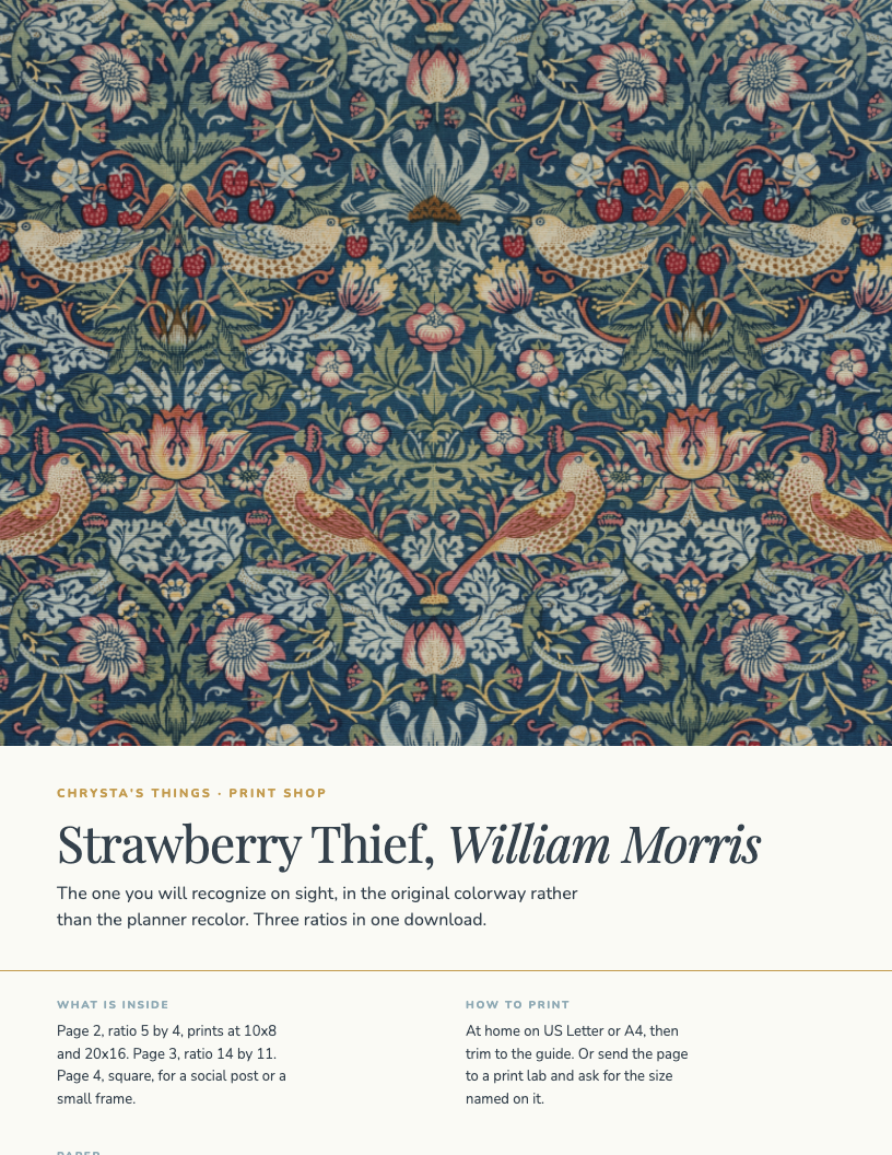 CT-ART-MOR-01 image 1