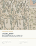 CT-ART-MUC-08 image 1