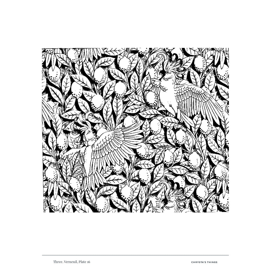 Adult Coloring Book Pages, Art Nouveau, 5 Restored Antique Plates, Printable PDF